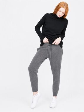 Quinn 100% Cashmere Jogging Pant Jogger in Grey